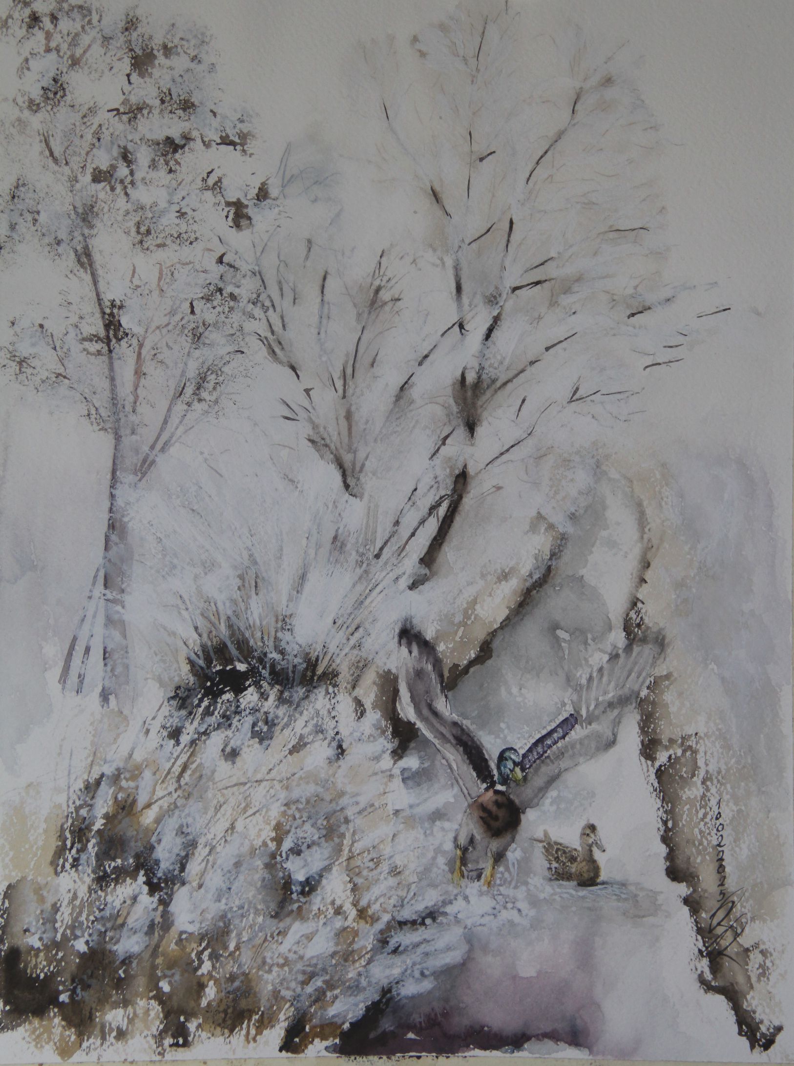 Tiere Bild 4